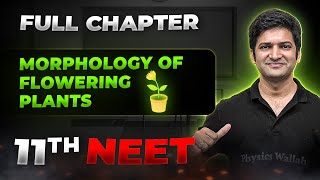 Morphology of Flowering Plants FULL CHAPTER  Class 11th Botany  Arjuna NEET [upl. by Naillil474]