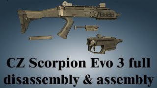 CZ Scorpion Evo 3 full disassembly amp assembly [upl. by Anilec]