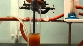 Ion exchange chromatography [upl. by Ttej234]