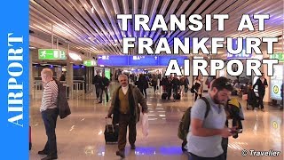 TRANSIT WALK AT FRANKFURT Airport FRA Terminal 1  Connection Flight Transfer Arriving amp Departing [upl. by Nylsoj]