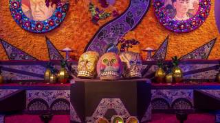 Día De Muertos Una Celebración De Vida [upl. by Desdee]