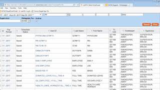 Timekeeper Timesheet Profile [upl. by Lavud]