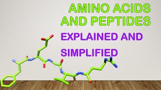 Chapter3Amino acids peptides and proteins Part1 [upl. by Stanfill]