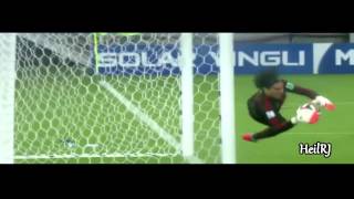 Guillermo Ochoa Best Saves ● World Cup 2014 HD [upl. by Anahsahs740]